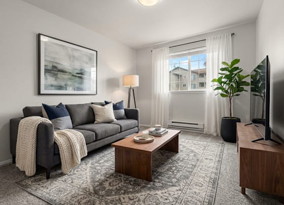 A living room with a grey couch, a coffee table, a flat screen TV, and a large window with white curtains.