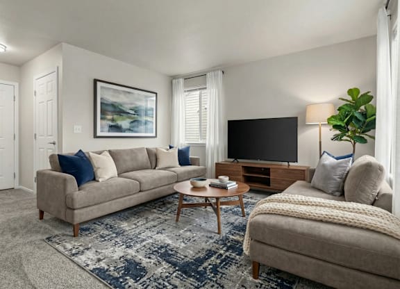 A living room with a grey couch, a coffee table, a television, and a plant.