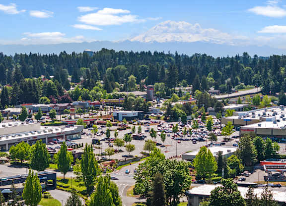 A view of a town with a mountain in the background.