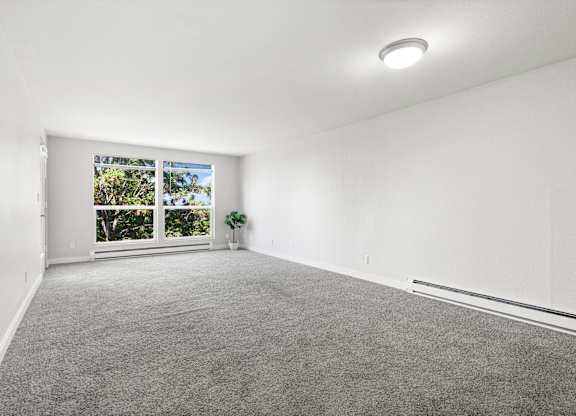 A room with a grey carpet and a window showing trees outside.