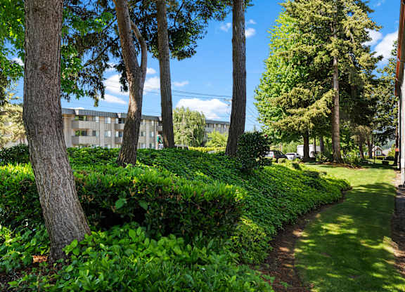 A pathway with green bushes on the side and trees in the background.