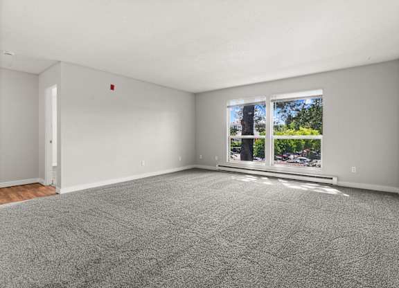 A room with a grey carpet and a window showing a tree and a building outside.