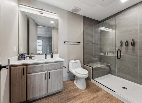 A modern bathroom with a walk-in shower and a toilet.