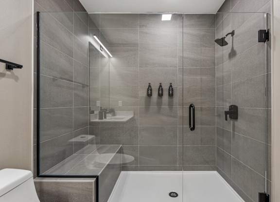 A modern bathroom with a walk-in shower and a toilet.