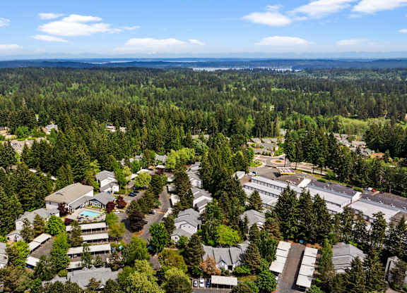 A bird's eye view of a residential area surrounded by trees.