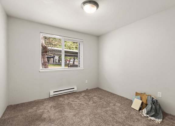 A room with a window and a carpet on the floor.