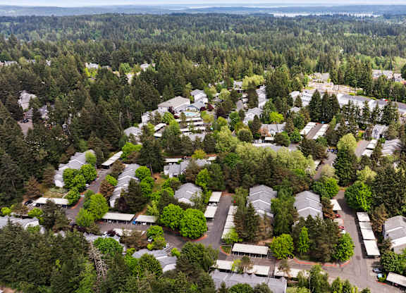 A bird's eye view of a residential area with houses surrounded by trees.