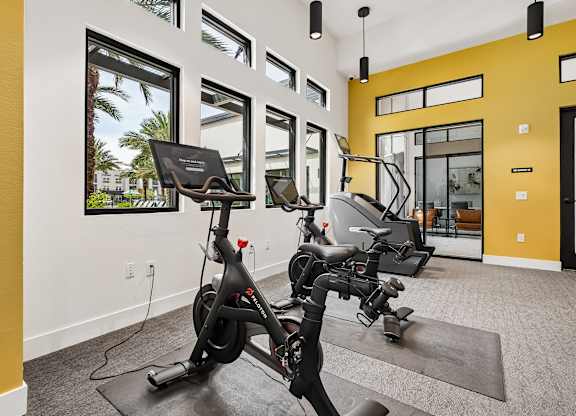 A room with exercise equipment and a window showing a view of palm trees.