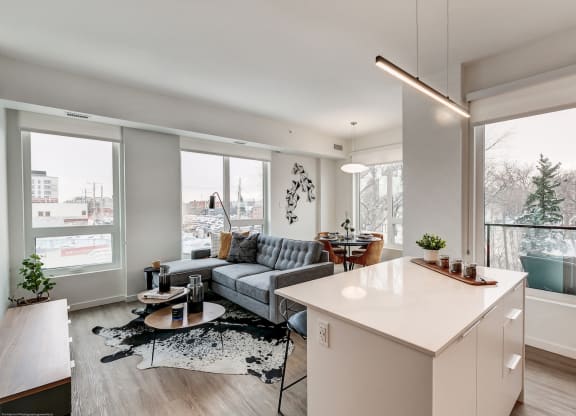 Large Windows for Natural Light at Southpark, Edmonton