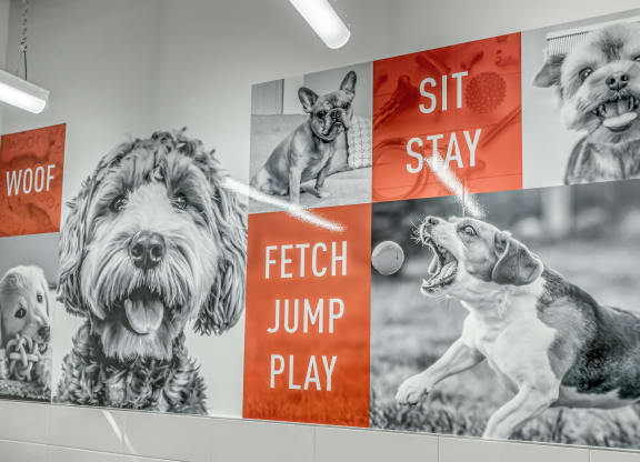 Keep your fur-family smelling fresh at our Dog Spa at Southpark, Edmonton, AB