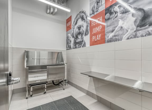 Dog Spa at Southpark, Edmonton, T6E 3S3