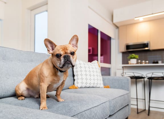We're pet-friendly! at Southpark, Alberta