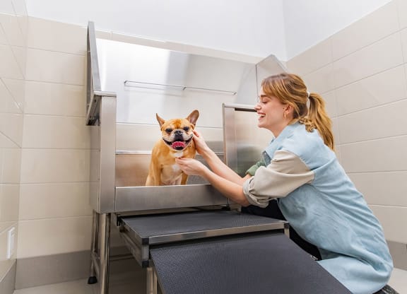 Keep your fur-family smelling fresh at our Dog Spa at Southpark, Edmonton