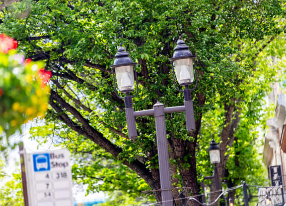 Easily walk, bike or bus to your destination. ETS bus stops on every corner at Southpark, Edmonton, T6E 3S3
