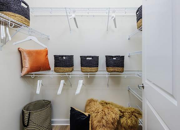 Briley - Matthews, NC apartments - walk-in closet