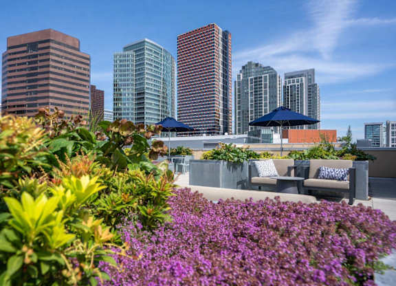 Metro 112 Apartments in Bellevue WA - Rooftop garden