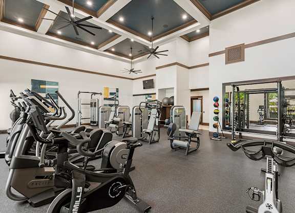 StoneLedge Apartments - Technogym cardio machines - Coppell, TX Apartments