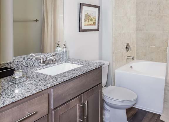 Apartment Homes for rent in Franklin, TN - Dwell at McEwen Classic Bathroom