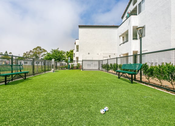 a yard with two benches and a soccer ball on the grass