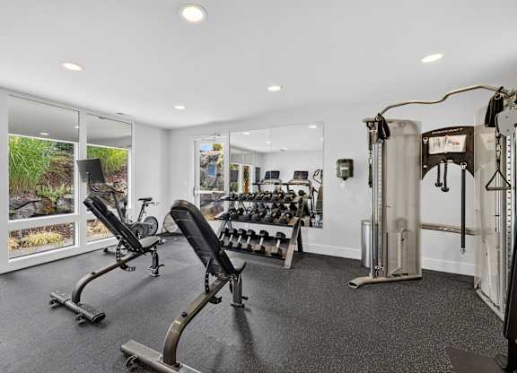 A gym with a row of treadmills and a row of dumbbells.