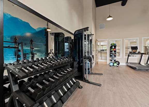 A gym with a row of dumbbells and a wall mural of a mountain scene.