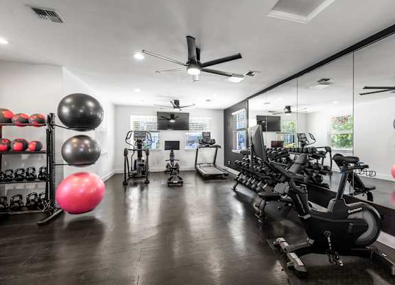 A gym with a row of stationary bikes and exercise balls.