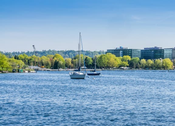 two boats in the water with a city in the background