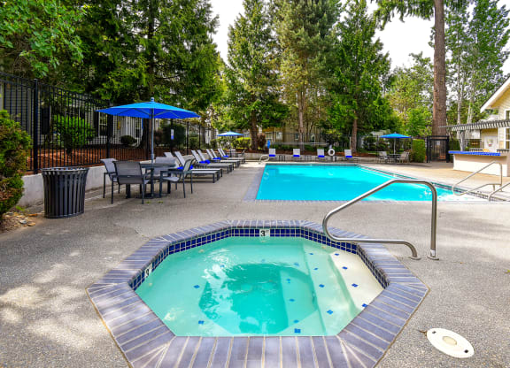 our apartments showcase a swimming pool