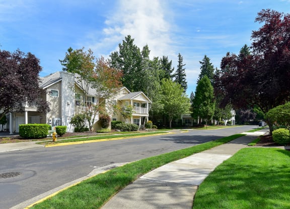 a street with houses on the side of a street