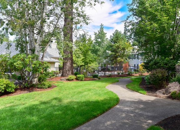 a walkway through a yard with trees and houses