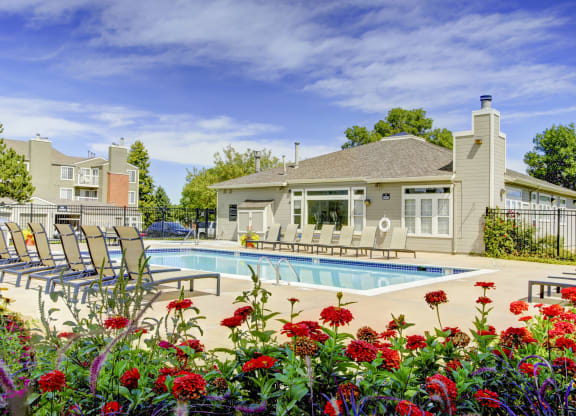 our apartments offer a swimming pool