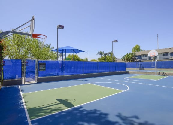 basketball court at the bradley braddock road station apartments