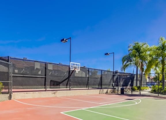 Temecula Apartments for Rent - Basketball Court at Vista Promenade Apartments, Temecula
