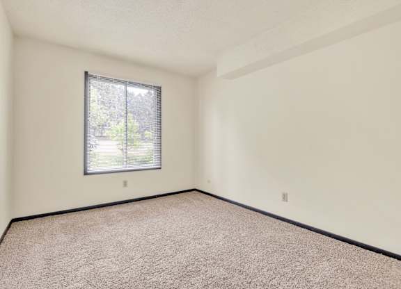 A room with a window and carpeted floor. at Indian Ridge Apartments, Iowa, 52807