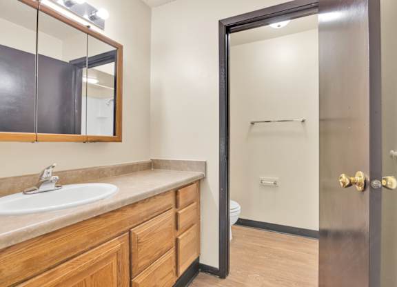 A bathroom with a sink, mirror, and toilet. at Indian Ridge Apartments, Davenport, 52807