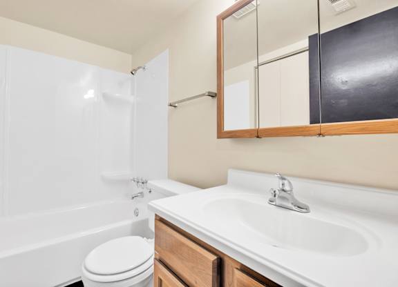 Bathroom With Bathtub at Indian Ridge Apartments, Davenport