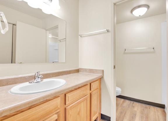 Bathroom With Storage at Indian Ridge Apartments, Davenport