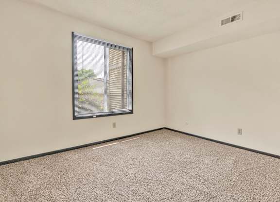 A room with a window and carpeted floor. at Indian Ridge Apartments, Iowa