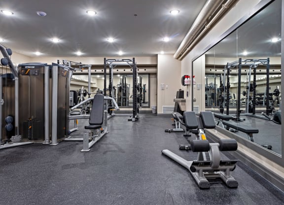 the gym is equipped with state of the art gym equipment at The Woods at 180 Kanata Avenue, Ontario, K2K 3L9