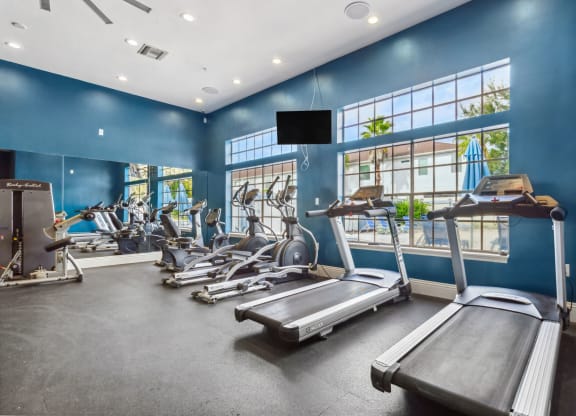 a gym with treadmills and other exercise equipment and windows at Reserve at Temple Terrace, Temple Terrace, FL 33637