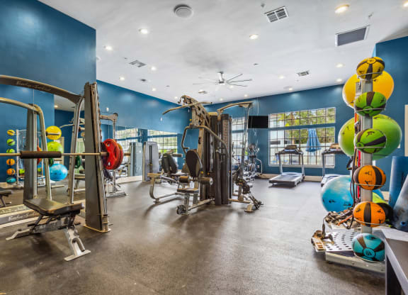 a gym with weights and cardio equipment in a building with blue walls at Reserve at Temple Terrace, Temple Terrace