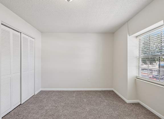 A room with white walls, carpeted floor, and a window with blinds.