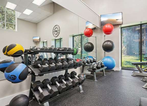 A gym with a variety of equipment including dumbbells, weight plates, and a bench press.