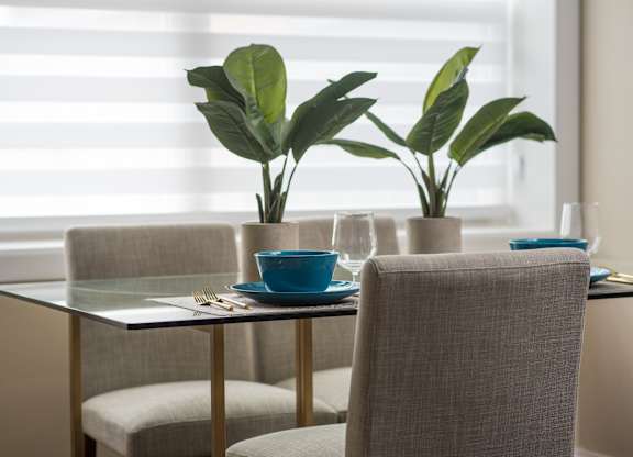 A dining table with two chairs and a potted plant.