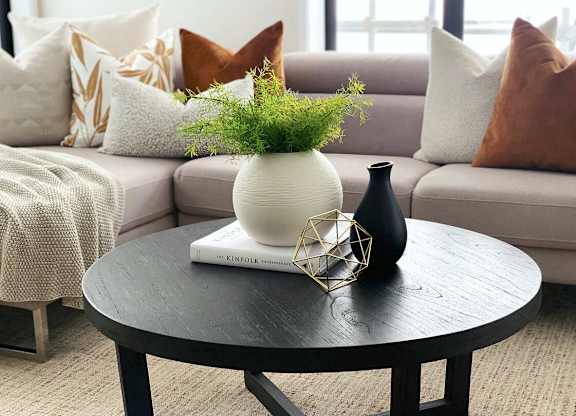 A living room with a grey couch, a coffee table, and a plant on it.