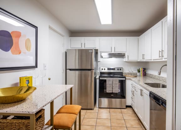 Kitchen at DEL ORO APARTMENT HOMES, Florida