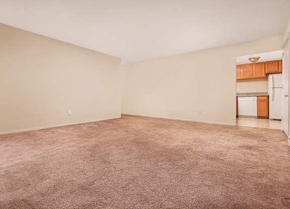 Empty room with carpeted floor and white walls.