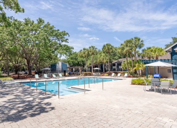 the swimming pool at our apartments  at Fisherman's Landing Apartment Homes, Florida