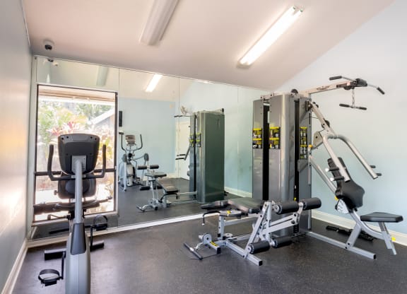 a gym with weights and mirrors and a window  at Fisherman's Landing Apartment Homes, Florida