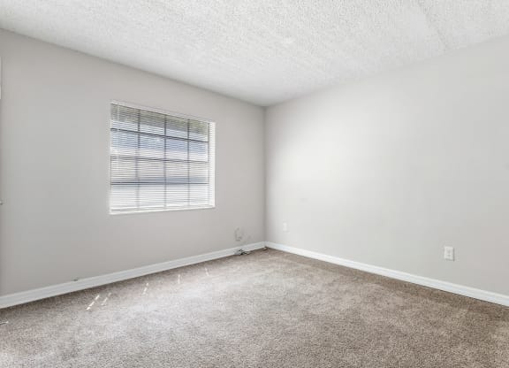 an empty room with carpet and a window at Greenwich Commons Apartment Homes, Tampa, Florida